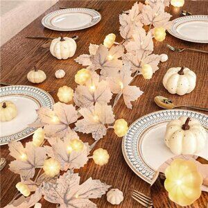 Pumpkin Lights & 60 LED, 2 Pack Fall Garland Fall Decor, Total 20Ft